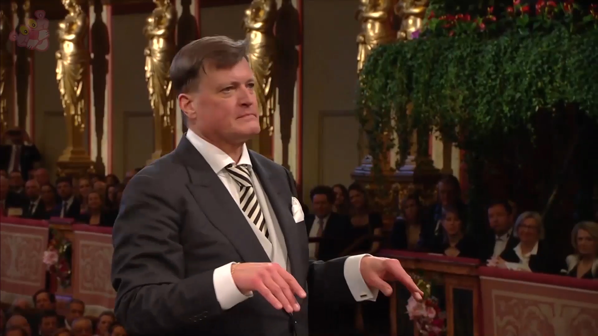 An der schönen blauen Donau