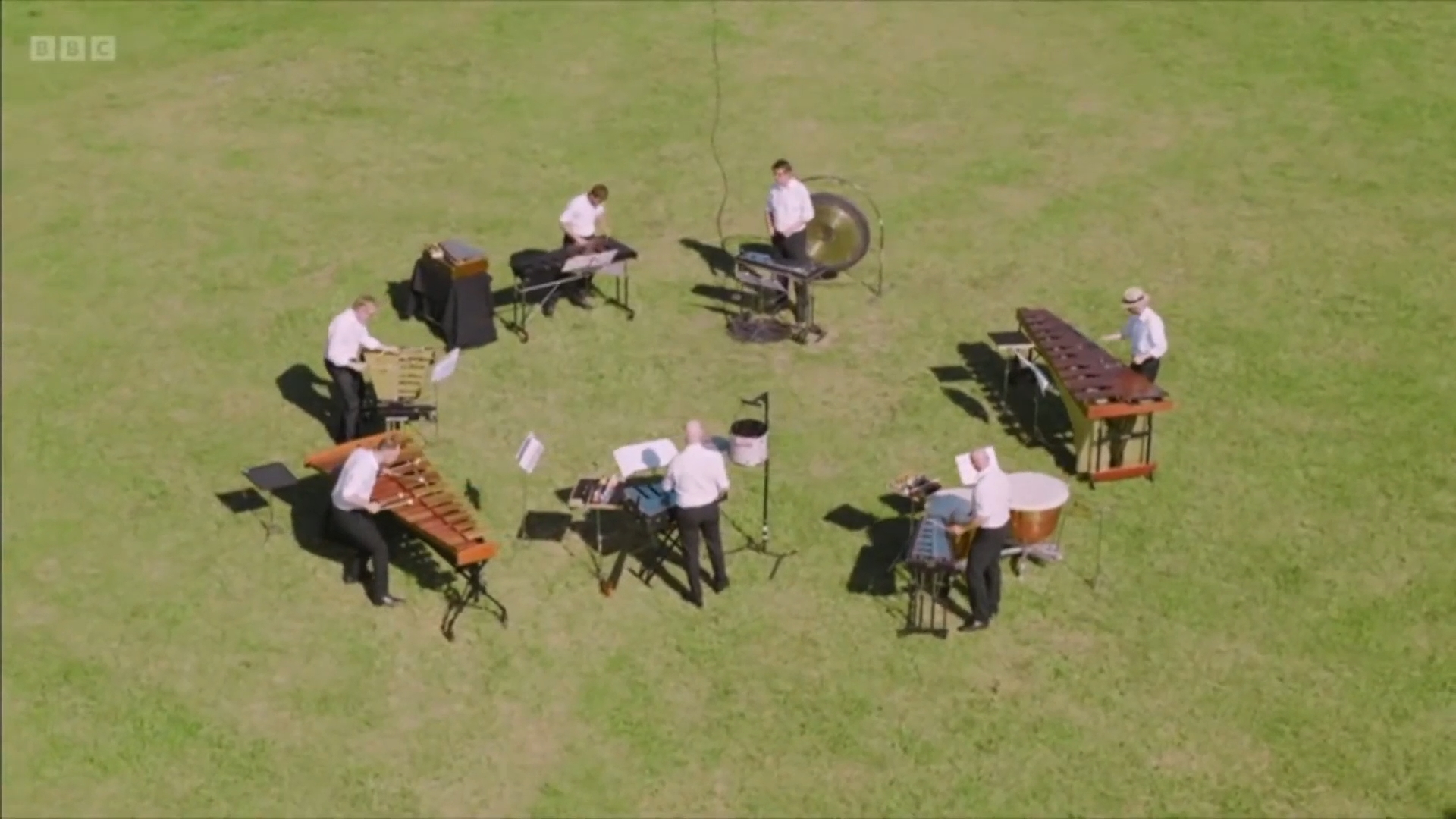 Eine Strauss Odyssee