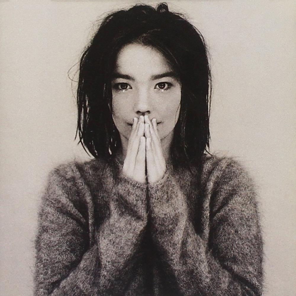 Björk - Debut